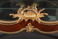 Fran ois Linke AN EXQUISITE FRENCH ORMOLU MOUNTED SHOWCASE BY FRANCOIS LINKE - 3537410