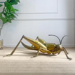 Fran ois Melin Francois Melin Brutalist Grasshopper Coffee Table - 3306736
