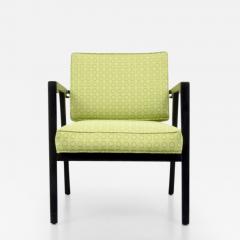 Franco Albini Early Franco Albini Lounge Chair - 229108