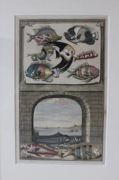 Francois Valentijns Fish Seashore - 3172716