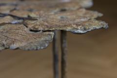 Francois Xavier Lalanne Pair of Leaf Bronze Side Tables - 2090795