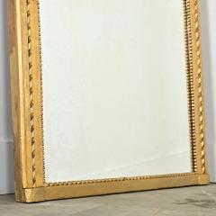 French 19th Century Arched Top Gold Gilt Mirror - 4254528