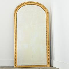 French 19th Century Arched Top Gold Gilt Mirror - 4254545