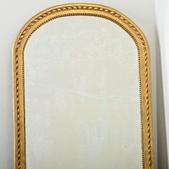 French 19th Century Arched Top Gold Gilt Mirror - 4254547