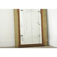 French 19th Century Gardener s Trumeau Mirror - 4415607