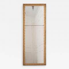 French 19th Century Giltwood Pier Mirror - 1231228