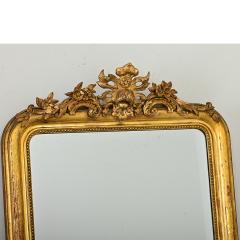 French 19th Century Gold Gilt Louis Philippe Mirror - 4330814