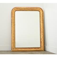 French 19th Century Gold Gilt Louis Philippe Mirror - 4415653