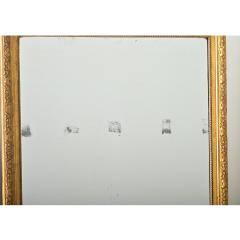French 19th Century Gold Gilt Mantel Mirror - 4150099