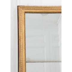 French 19th Century Gold Gilt Mirror - 2469205