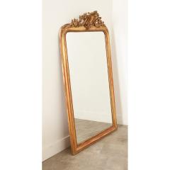 French 19th Century Gold Gilt Mirror - 3236471