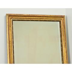 French 19th Century Gold Gilt Mirror - 3575316