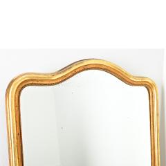 French 19th Century Gold Gilt Mirror - 4488792