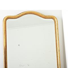 French 19th Century Gold Gilt Mirror - 4488806
