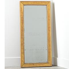 French 19th Century Gold Gilt Mirror - 4524280