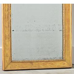 French 19th Century Gold Gilt Mirror - 4524281