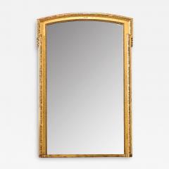 French 19th Century Gold Gilt Overmantel Mirror - 4535688