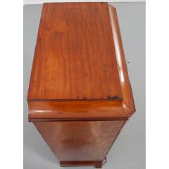 French 19th Century Louis Philippe Butler s Chest - 1973893