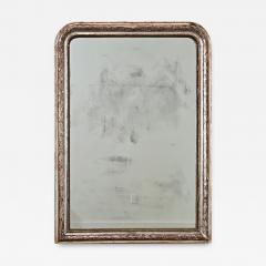 French 19th Century Louis Philippe Silver Gilt Mirror - 4596060