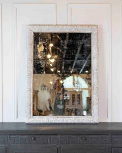 French 19th Century Louis XIV Style Carved Wood and Stucco Mirror - 4758178