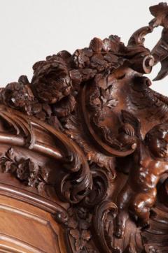 French 19th Century Louis XV Style Walnut Vitrine Armoire - 1440383