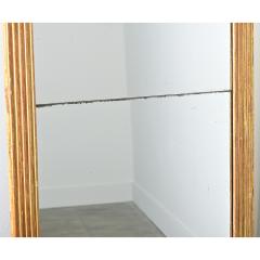 French 19th Century Louis XVI Style Reeded Gilt Mirror with Double Plates - 4524268