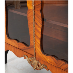 French 19th Century Louis XVI Style Vitrine - 2703153