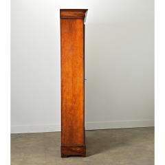 French 19th Century Mahogany Louis Philippe Bibliotheque - 4317058