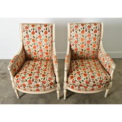 French 19th Century Pair of Directoire Bergeres - 4157415