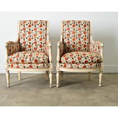 French 19th Century Pair of Directoire Bergeres - 4157418