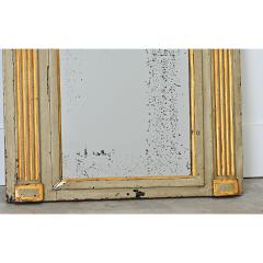 French 19th Century Petite Parcel Gilt Trumeau - 4578240