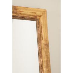 French 19th Century Symmetrical Gold Gilt Mirror - 3234554