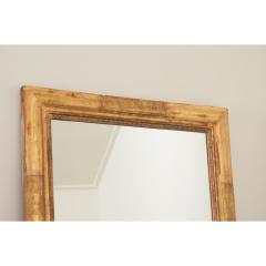 French 19th Century Symmetrical Gold Gilt Mirror - 3234557