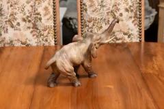 French 19th Century Terracotta Sculpture Depicting a Walking Asian Elephant - 3544720