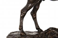French Antique Bronze Sculpture of Ibrahim Arabian Stallion by Pierre J Mene - 4619928