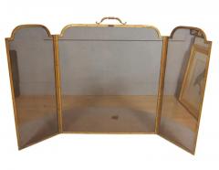 French Bronze Fireplace Screen - 4145080