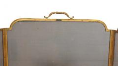 French Bronze Fireplace Screen - 4145107
