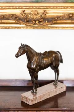 French Bronze Horse Statuette on Granite Base with Detailed Musculature - 3608577