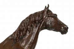 French Bronze Sculpture of Arabian Stallion Rainbow by Christophe Fratin - 4790103