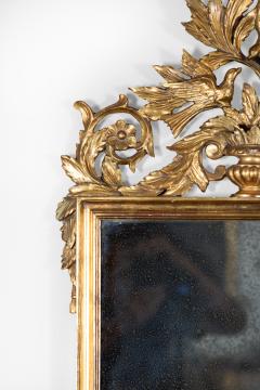 French Carved Giltwood Mirror Frame With Urn Foliage Birds Circa 1880 - 3818691