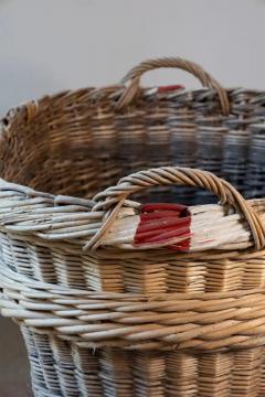 French Champagne Harvesting Basket - 4096811