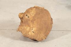 French Elm Side Table - 4329280
