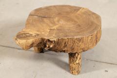 French Elm Side Table - 4329295