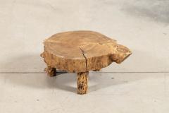 French Elm Side Table - 4329298