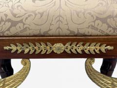French Empire Revival Bronze Mahogany Fabric Footstool France 19th c  - 4410829
