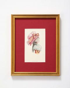 French Etchings Hats  - 4026397