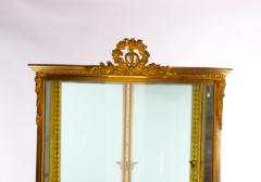 French Gilt Bronze Framed Mahogany Base Curio Cabinet - 3077078