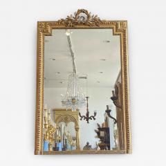 French Giltwood Pier Mirror Circa 1820 - 2571892