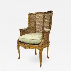 French Louis XV Gilt Berga Arm Chair - 1509534