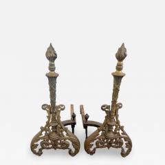 French Louis XV style bronze torch form andirons - 4692403